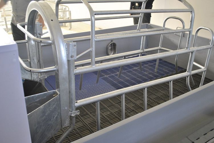Farrowing pen 1(001).jpg